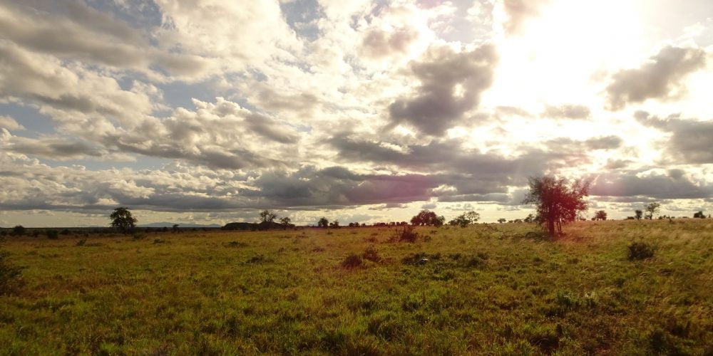 Africa – Tsavo Safari 2017