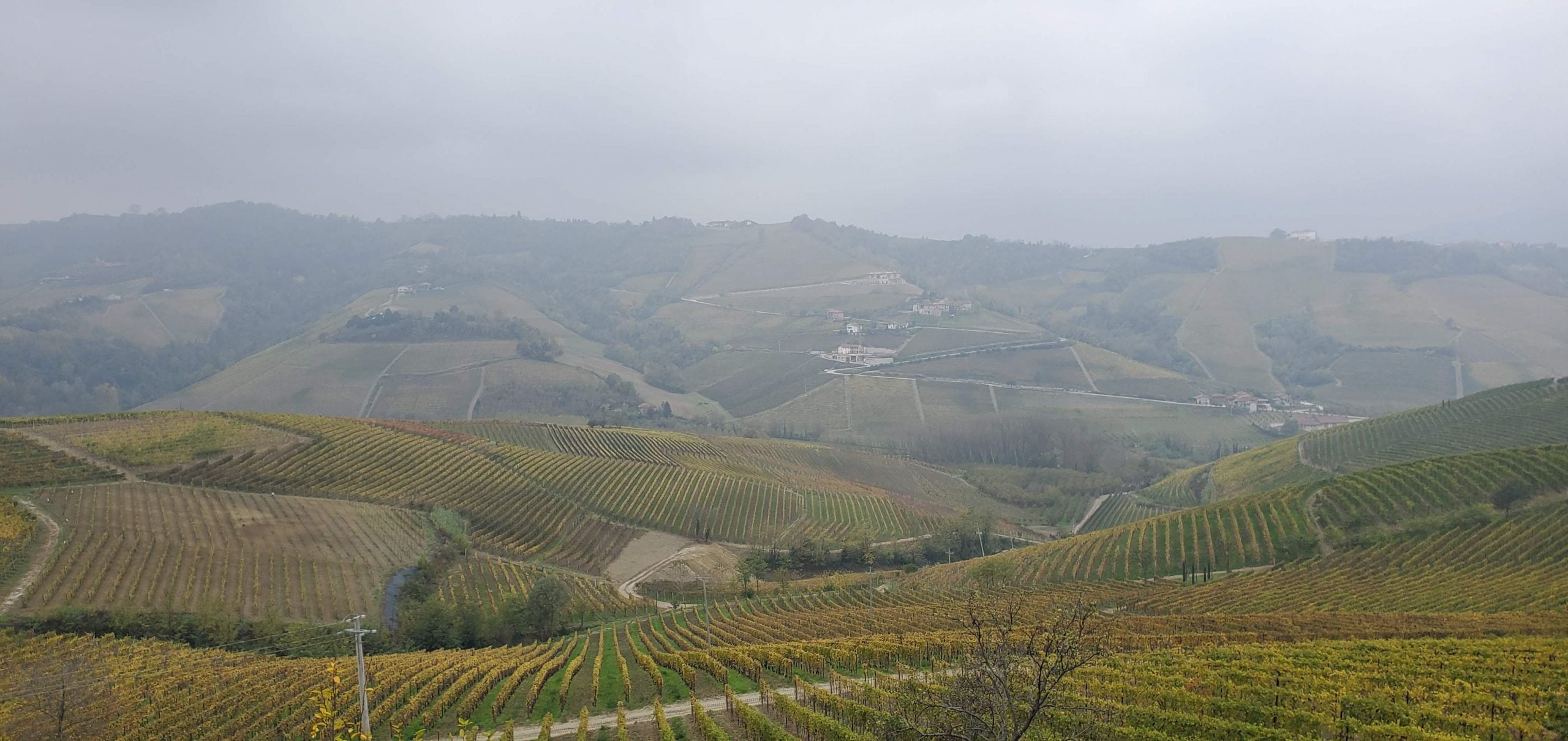 London and Italy, Fall 2019