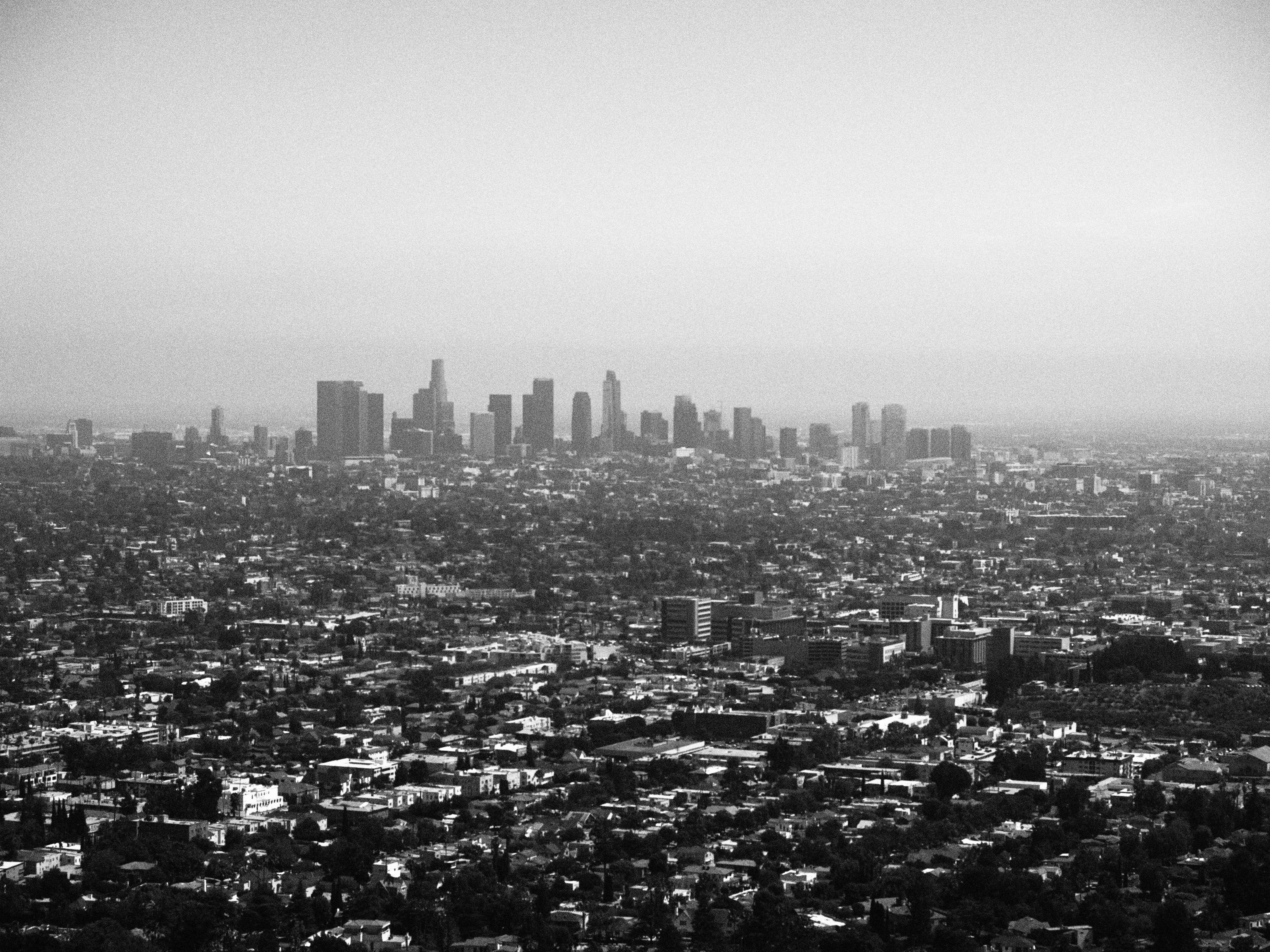 Nephew L.A. Adventure, Summer 24