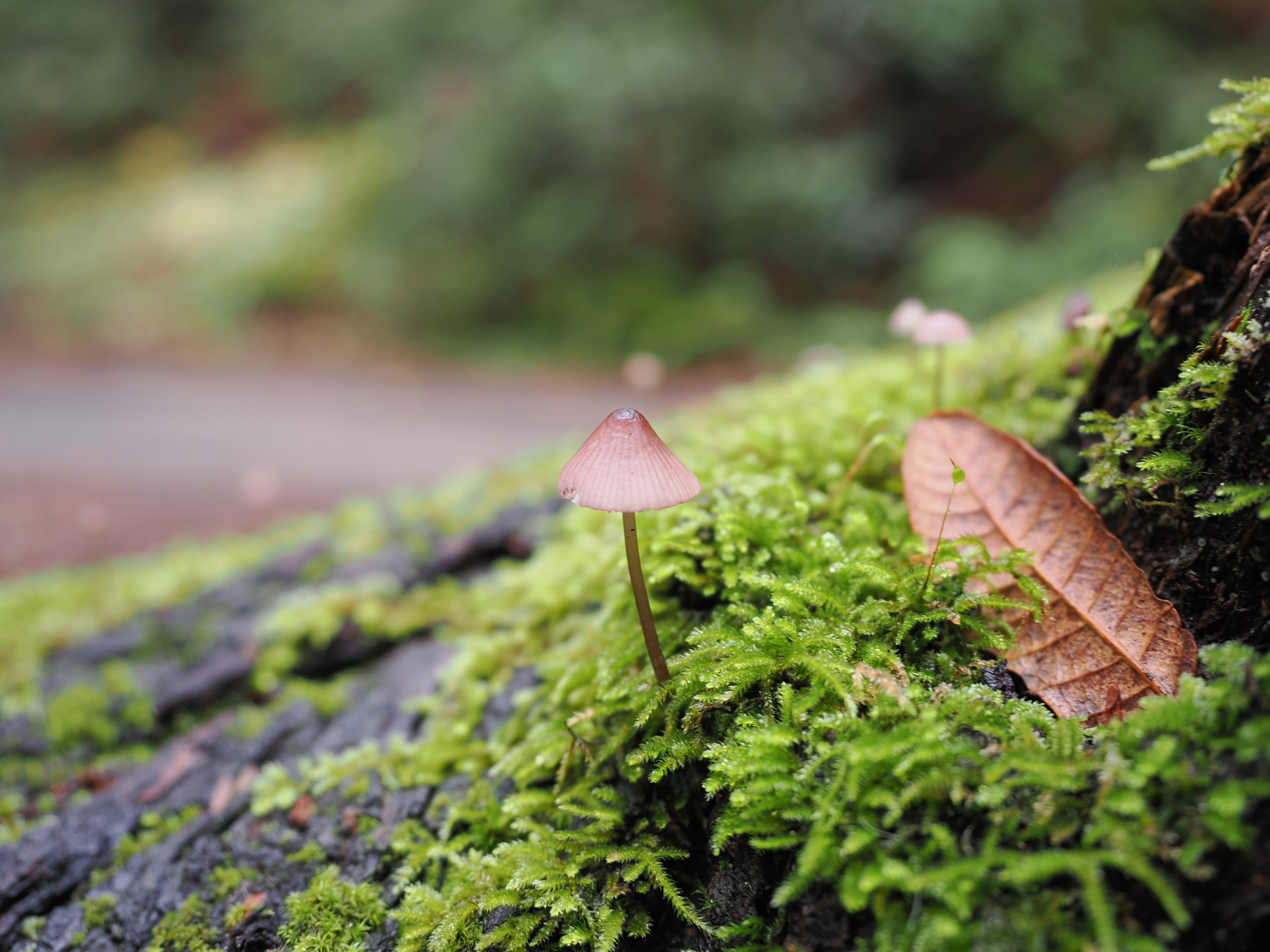 Around the parks, 24