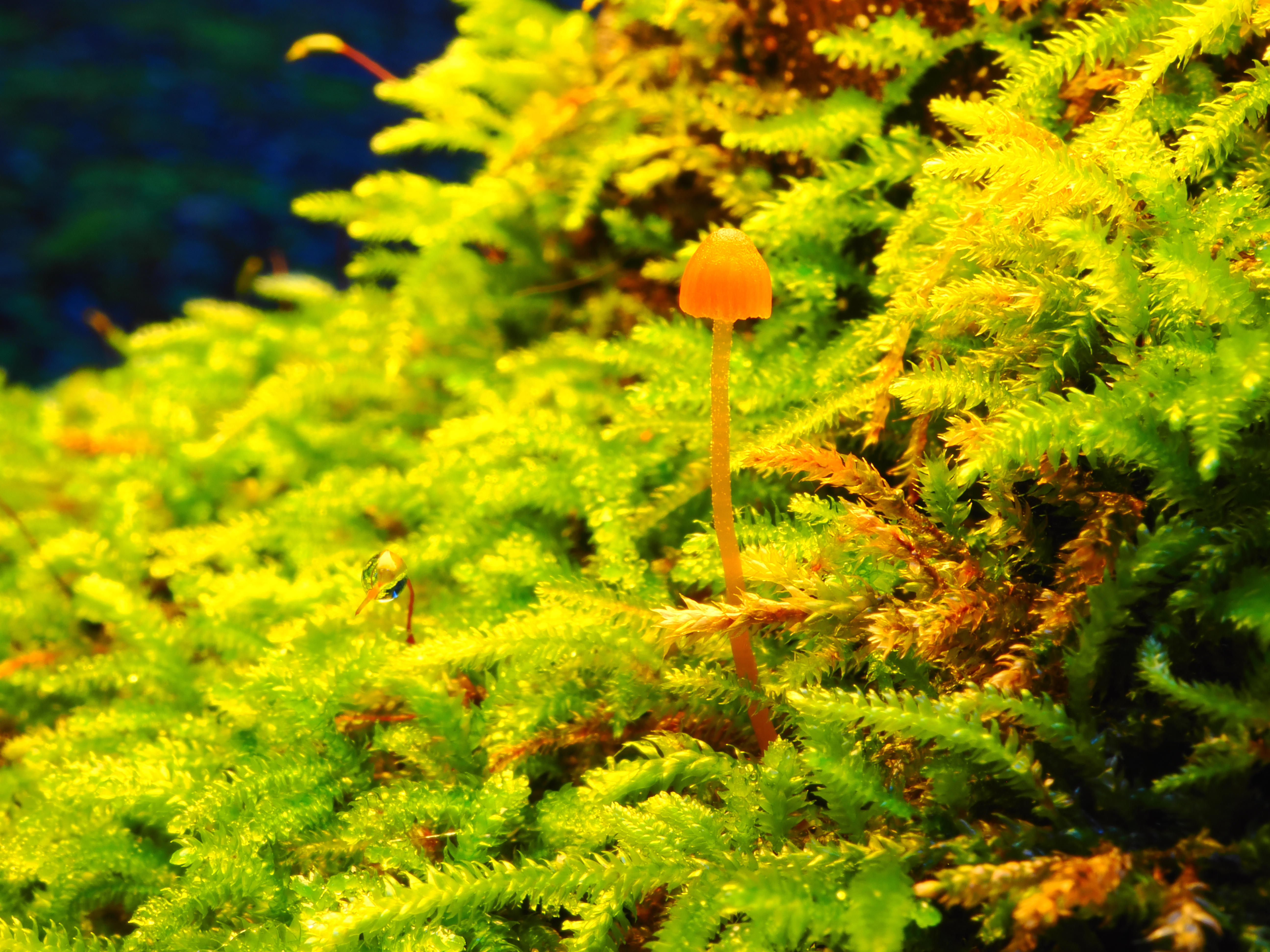 January Meandering, Winter 25