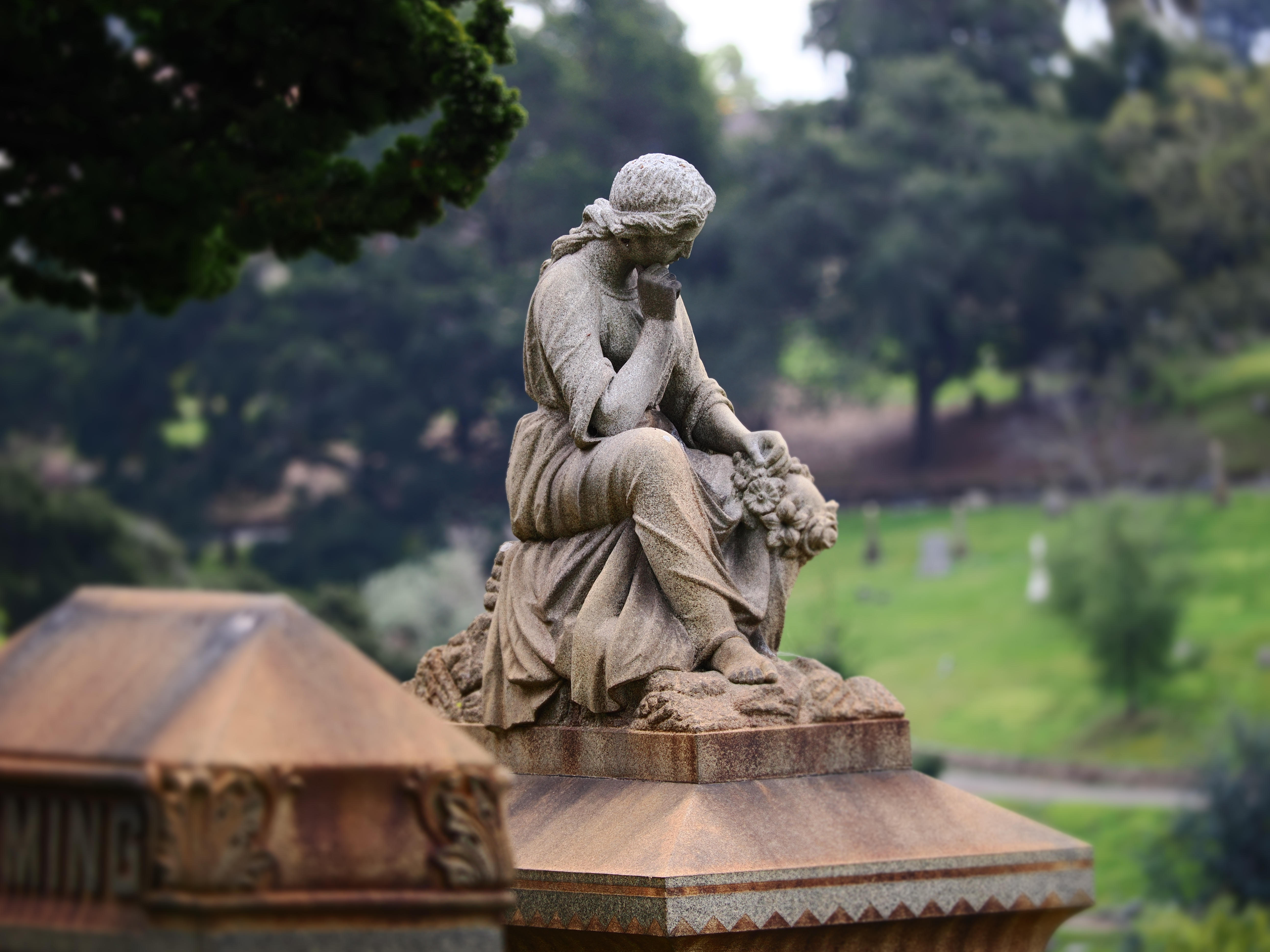 Cemetery Stroll, Winter 25