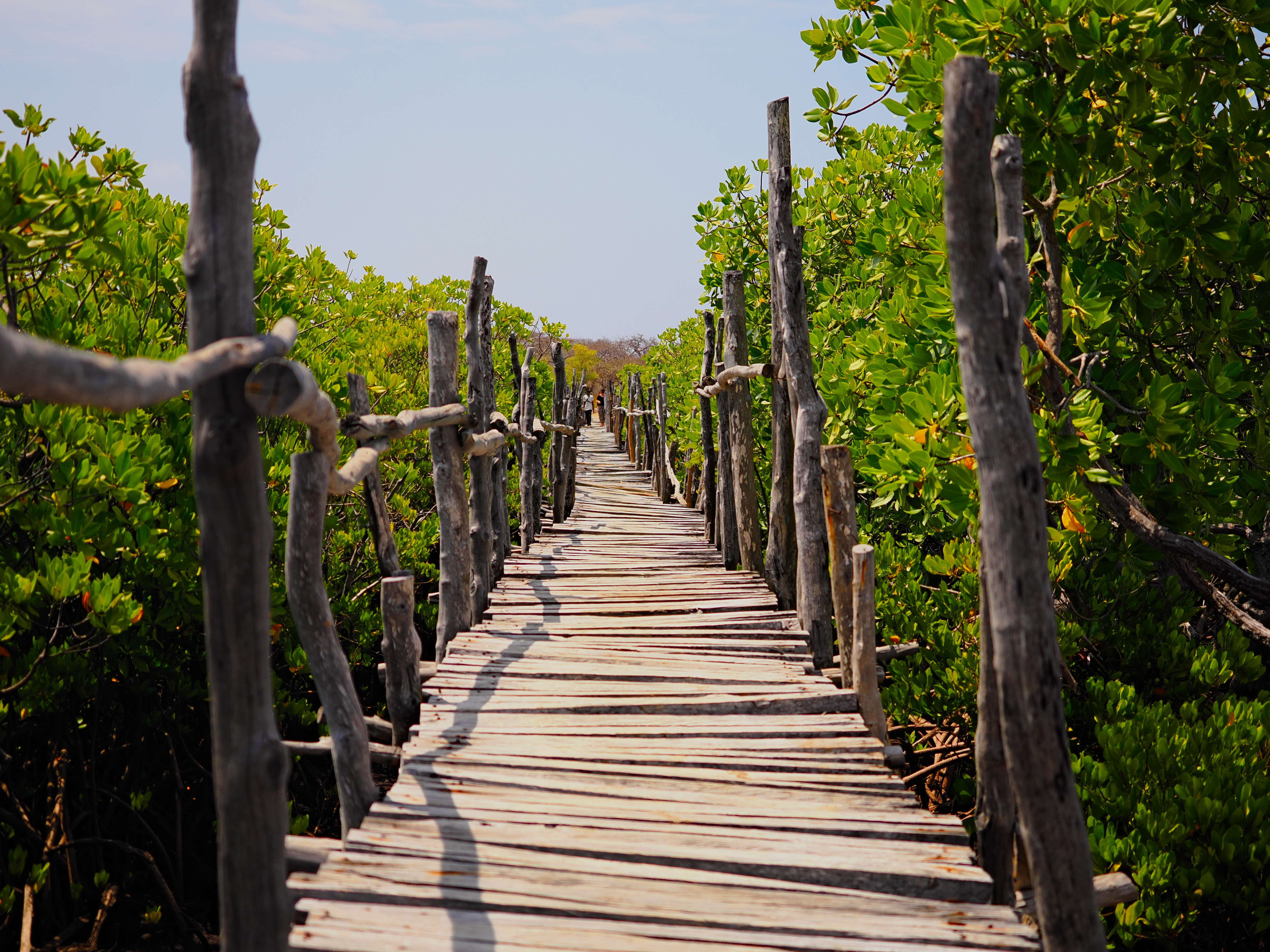 African Ways, Spring 25